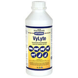 VYLYTE 1 LT