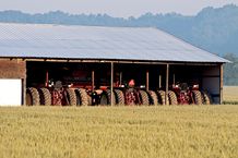 Sheds