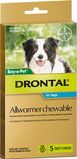 Drontal All Wormer Chewables Dog Med 5 Tab